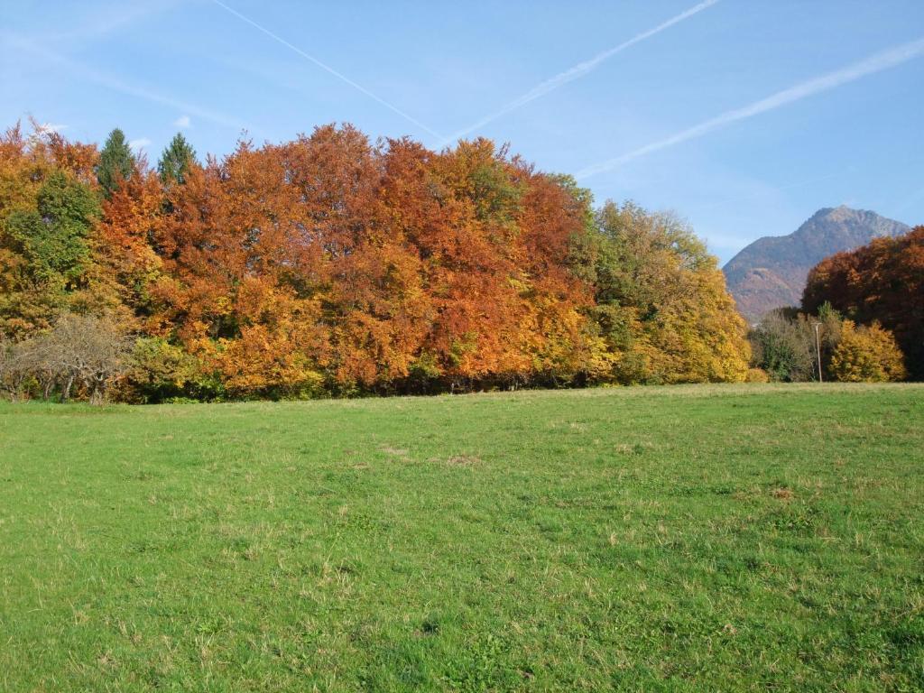 Le Domaine du Grand Cellier Chambres d'hôtes en Savoie Tournon-sur-Rhône Extérieur photo
